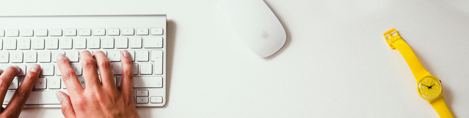 Island Burgers & Bites